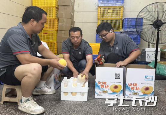 顺丰小哥上门收寄黄桃。