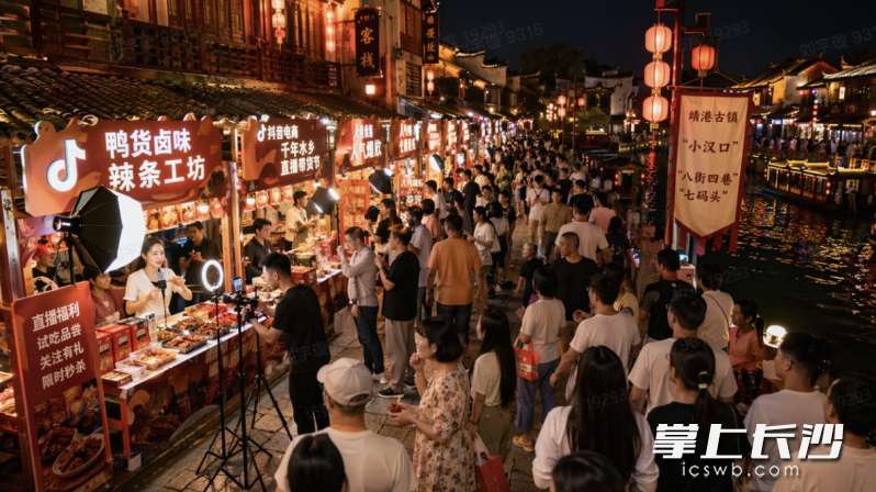 靖港夜游市集开市。图片均为受访者提供。