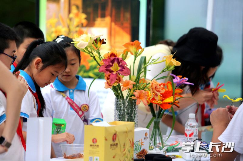 沉浸式探秘自然，省植物园夏日植物故事会等你来。均为长沙晚报全媒体记者 贺文兵 摄