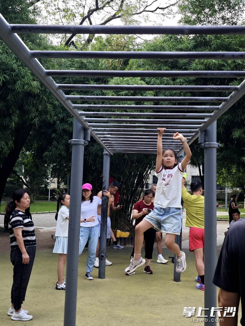 丰富多元的运动场地与器械，覆盖了老少群体。