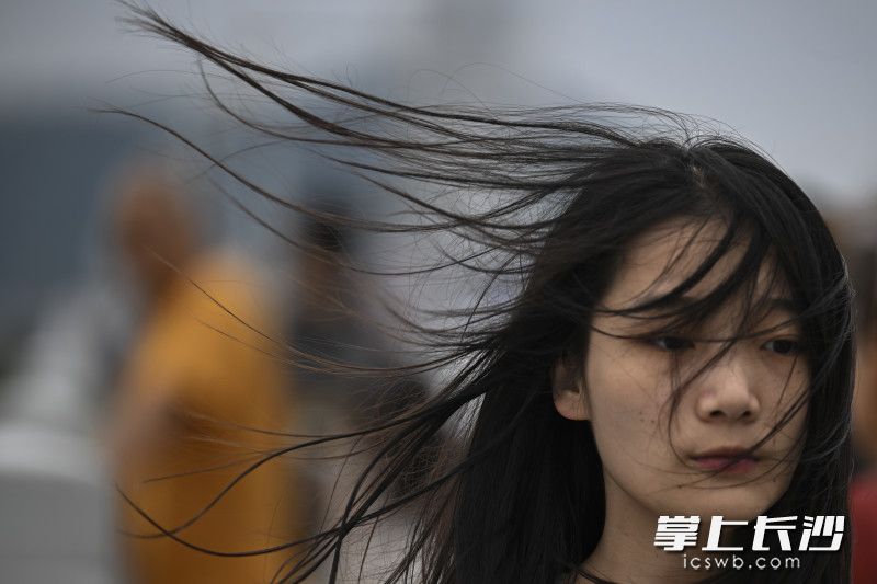 大风来袭！市民尽量减少高空、江边活动。 均为长沙晚报全媒体记者黄启晴、实习生谢宇航摄