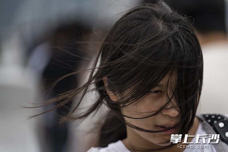 在橘子洲大桥，一位女士顶风出行。