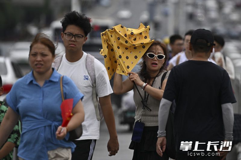 大风也给了不少游客凉爽。