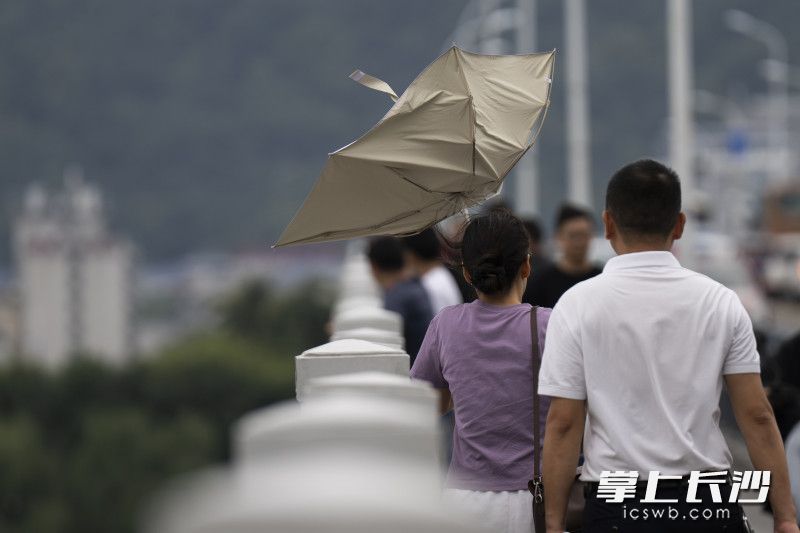 在橘子洲大桥，一位女士的伞被风吹开。