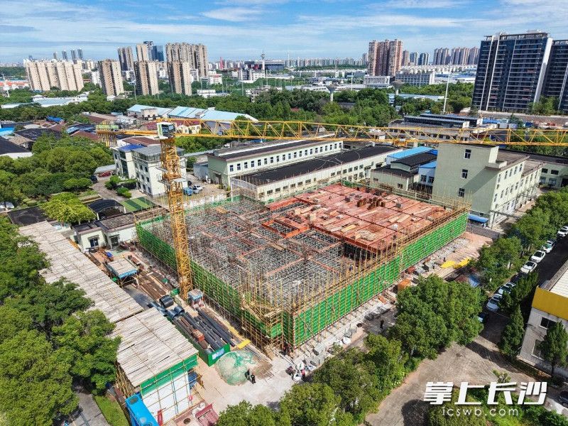 项目建设现场。长沙晚报通讯员舒展供图