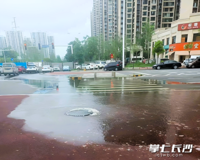 谊信路与彭家巷路交会处整改前污水反涌。
