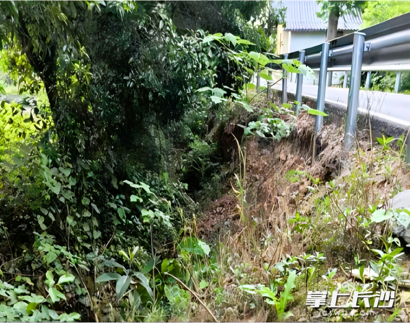 改造前的水渠淤塞，排水不畅，严重影响农田灌溉和排涝。 均为长沙晚报通讯员王红供图