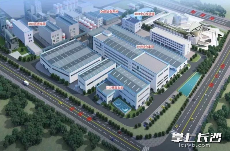 项目效果图。受访者供图