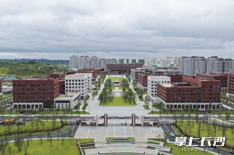 8月13日，湖南大学科创港校区建设现场，一栋栋楼宇错落矗立。 均为长沙晚报全媒体记者黄启晴摄