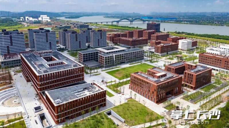 近日,位于湘江科学城核心区的湖南大学科创港校区二、三标段全面完成建设任务并建成投用。湘江早报全媒体记者 范龙贵 摄 近日,位于湘江科学城核心区的湖南大学科创港校区二、三标段全面完成建设任务并建成投用。湘江早报全媒体记者 范龙贵 摄