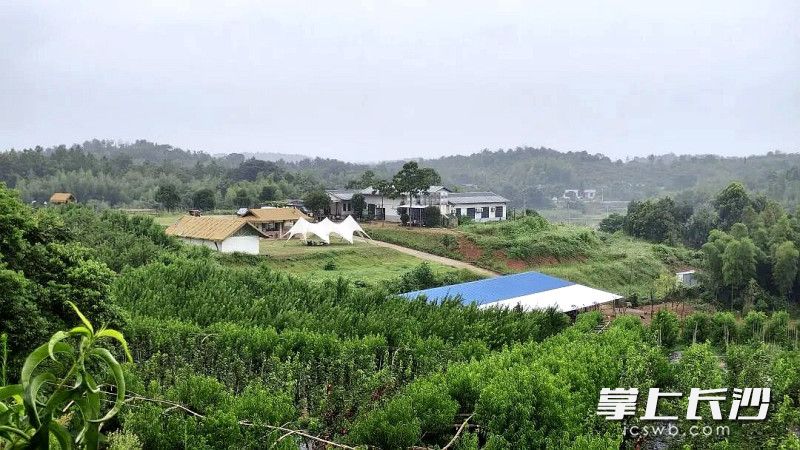 邵铁城的种养基地达200多亩。