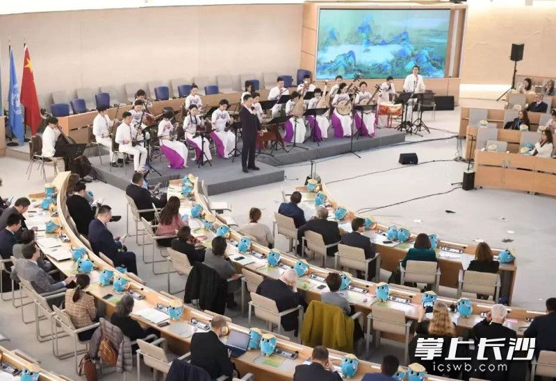2024年瑞士日内瓦万国宫：联合国中文日主题演出、高等艺术学院演出。