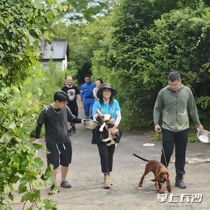 今年1月以来，长沙市岳麓区蓝天应急救援队加紧打造由4人4犬组成的搜救小队。均为 通讯员 贺兰 供图
