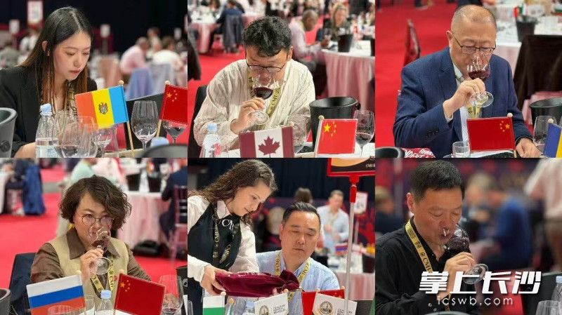 比赛采用盲品打分制，为保证公正，还会把相同酒款混入样品中二次品鉴测试评委。
