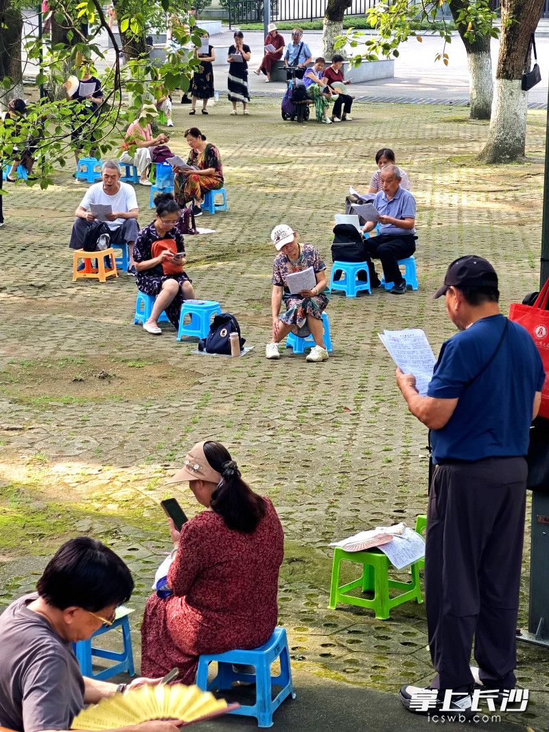 市民伴着草木清香歌唱。
