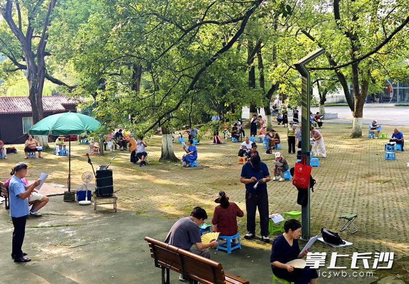 现场氛围松弛又温馨，没有拘束与喧闹，只有纯粹的热爱与投入。 均为长沙晚报全媒体记者贺文兵摄