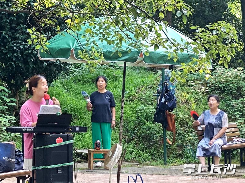轻柔的电子琴旋律缓缓流淌，温润婉转的前奏萦绕林间。