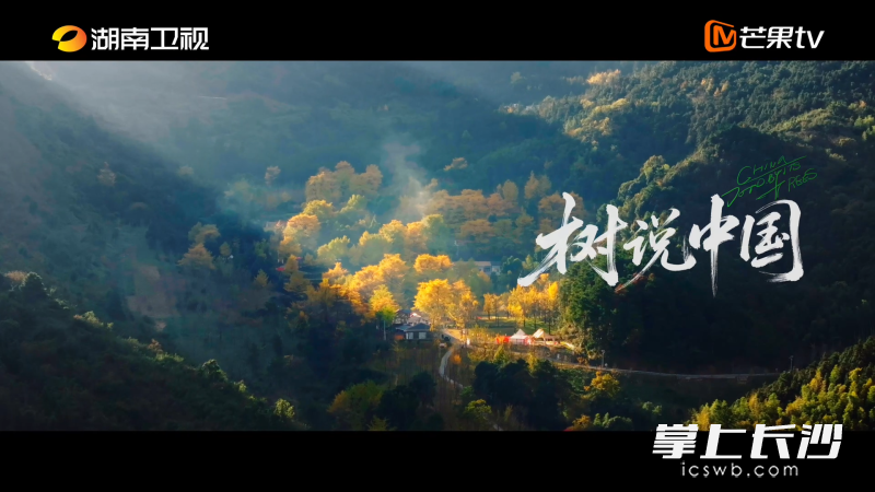 纪录片剧照 芒果TV供图