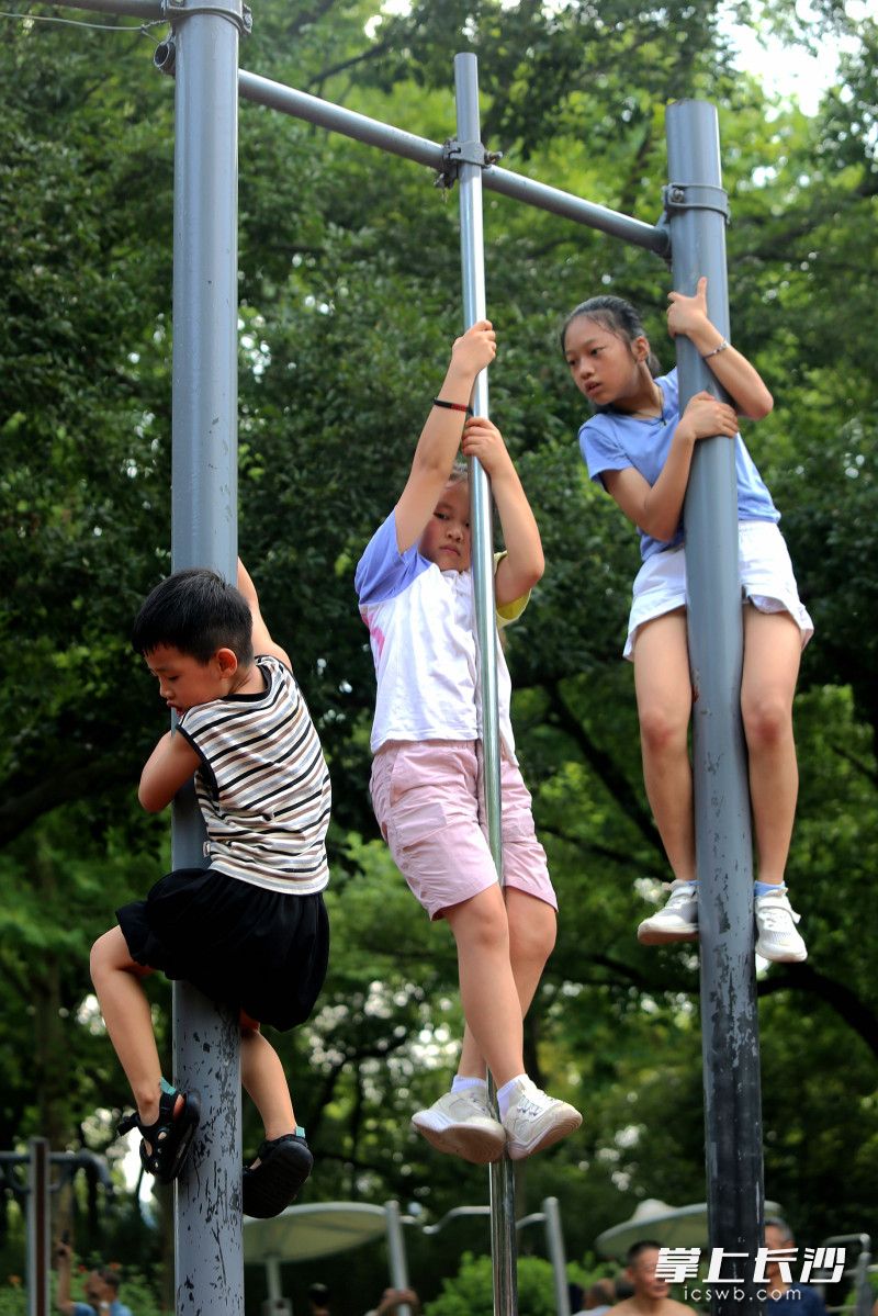爬杆，孩子们说“小意思”。