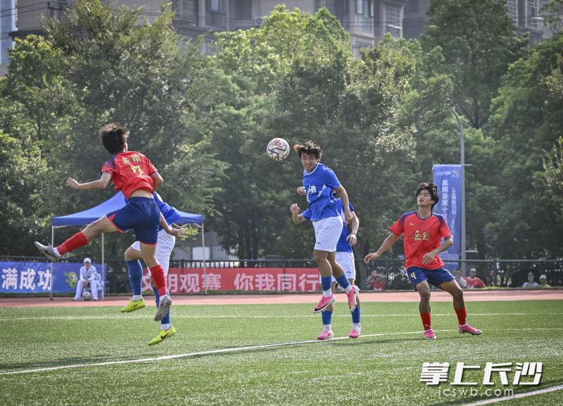 长沙队在比赛中。 均为长沙晚报全媒体记者余劭劼摄