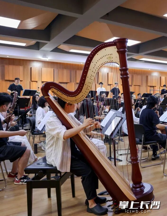 音乐会将深挖中式浪漫内核，褪去喧嚣烟火。