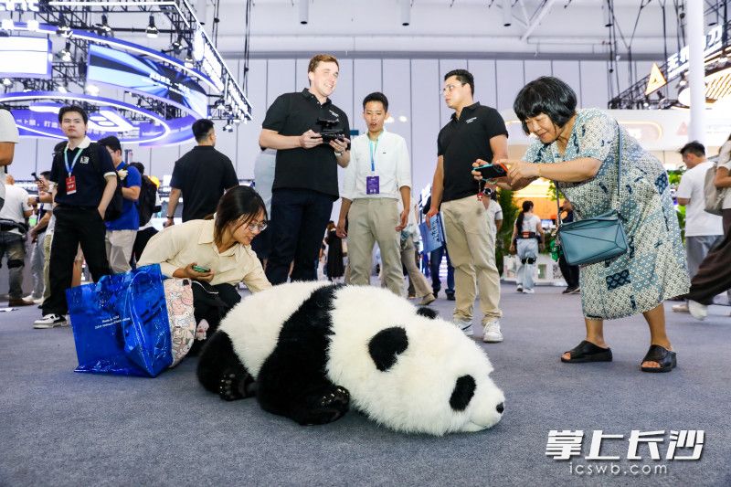 机器“熊猫”吸引游客驻足。