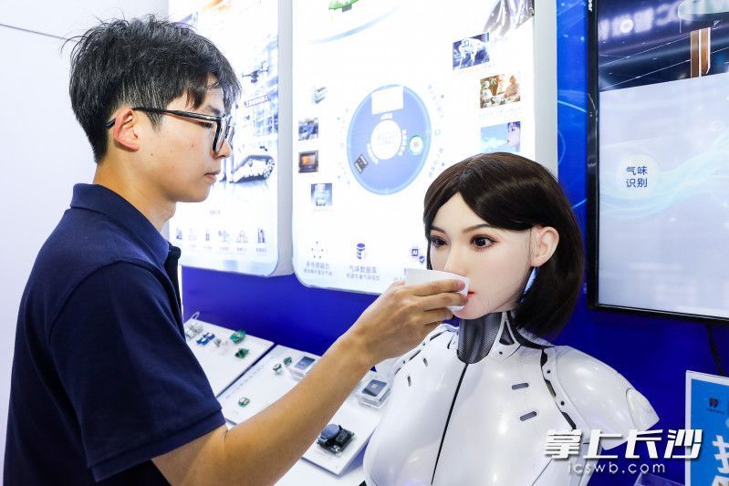 嗅探机器人识别气味。