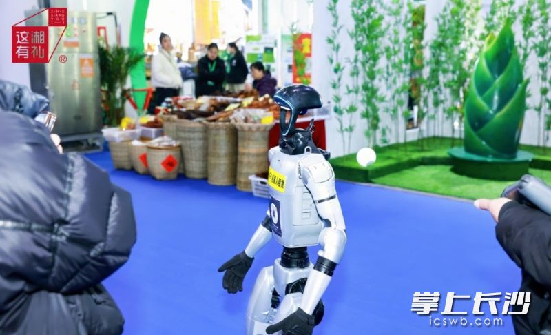 展会的机器人来了。主办方 供图 展会的机器人来了。主办方 供图