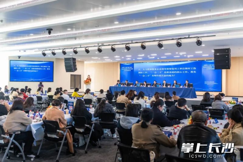路演现场。 路演现场。