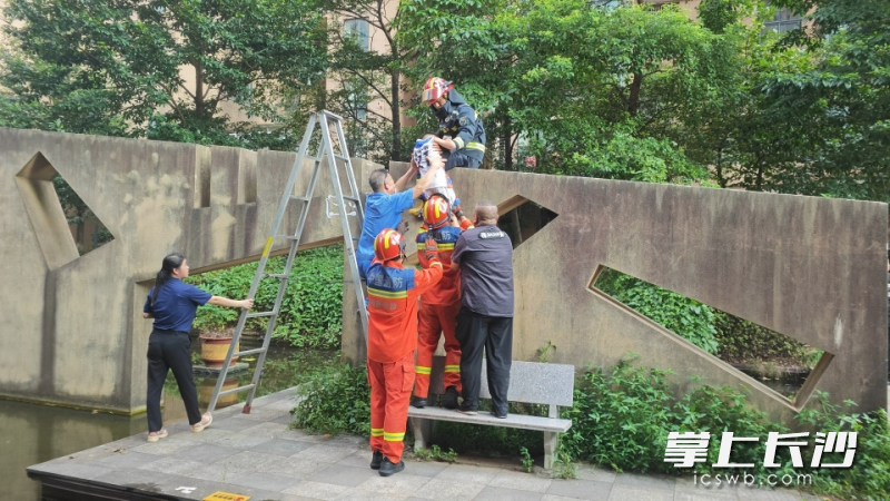 消防员正在营救被困孩童。 长沙晚报通讯员 钟家乐 摄
