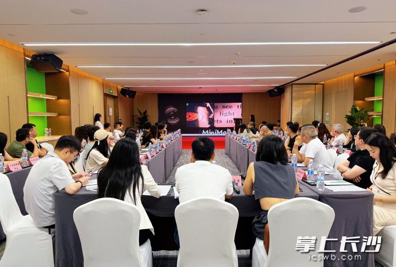 论坛现场。 均为长沙晚报全媒体记者匡小娟摄