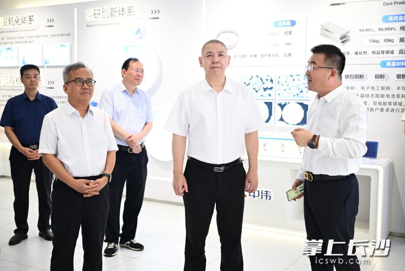 刘新良在湖南中伟新银材料科技有限公司调研。均为长沙晚报全媒体记者 盛磊 摄