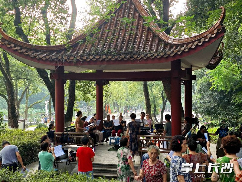 今日早晨，湖南烈士公园绿意盎然，树荫之下，市民吹拉弹唱，热闹非凡。 均为长沙晚报全媒体记者贺文兵摄