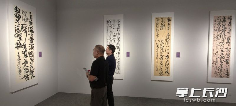 胡紫桂兼擅诸体，尤以行草、大草见长。