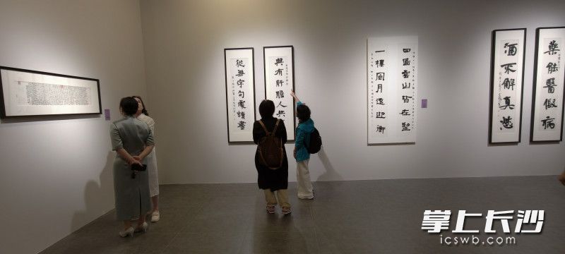 展厅一隅。 均为长沙晚报全媒体记者肖舞摄