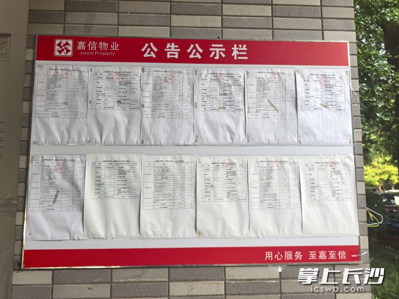 小区物业将服务事项、收费、公共收益、维修资金等情况都在公示栏上“晒”得清清楚楚。 均为企业供图