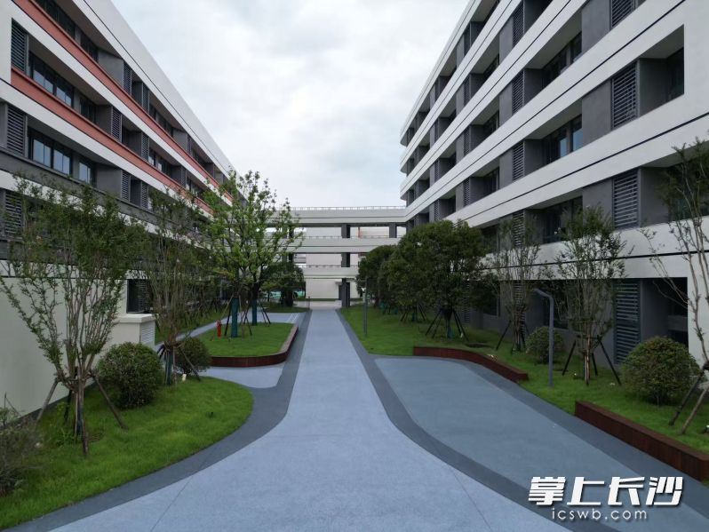校园建筑与自然生态相融共生。