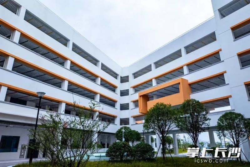 博才梅溪湖木棉小学（拟定名）内，功能设施一应俱全。 通讯员 胡翔 供图