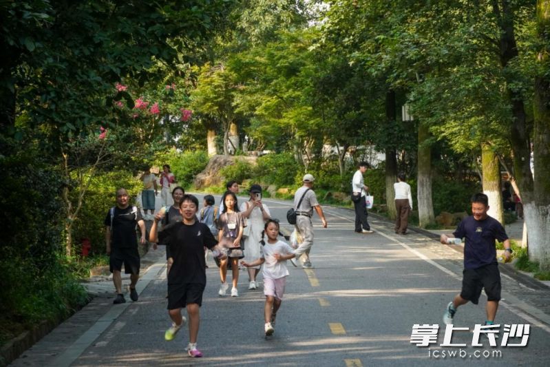 山顶慢行区游客悠闲漫步，孩童尽情嬉戏。均为 通讯员 蒋海霞 供图