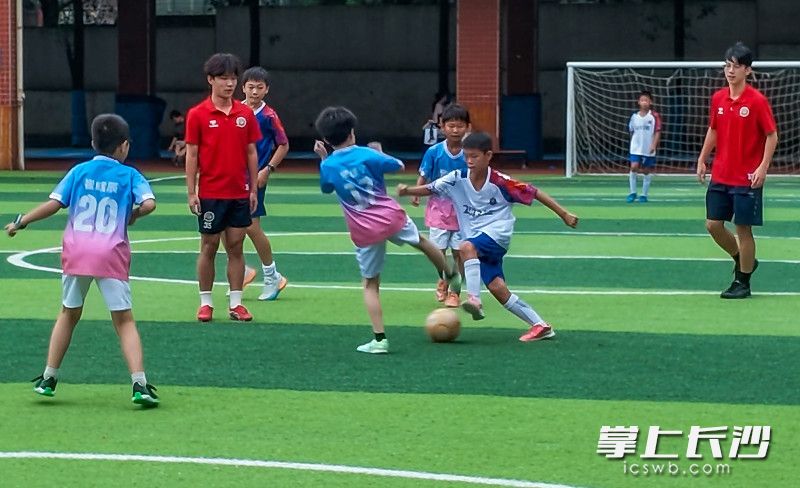 绿茵场上攻防转换、精彩不断。