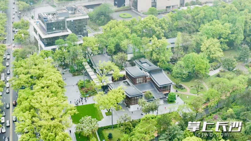 馆园融合，文脉与绿意“无界”共生。  长沙晚报通讯员 刘润泽 摄
