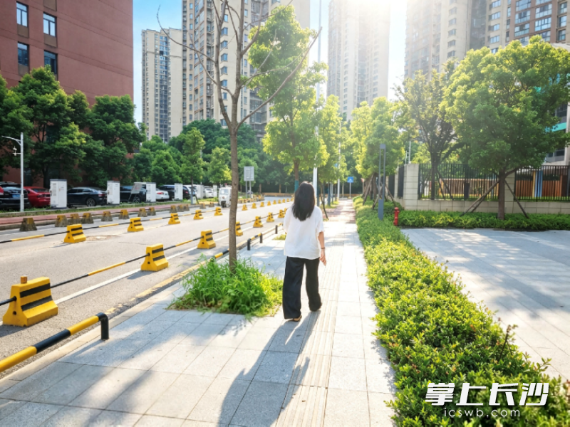 三条道路改造一新，赢得周边居民点赞。均为全媒体记者 周游 通讯员 钟鸣真 摄影报道