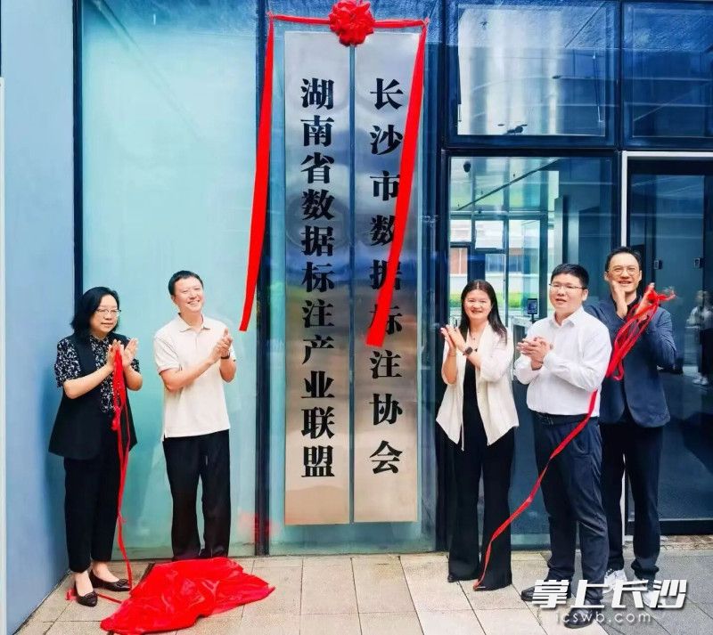 长沙市数据标注协会落户天心数谷。通讯员 李奕潜供图