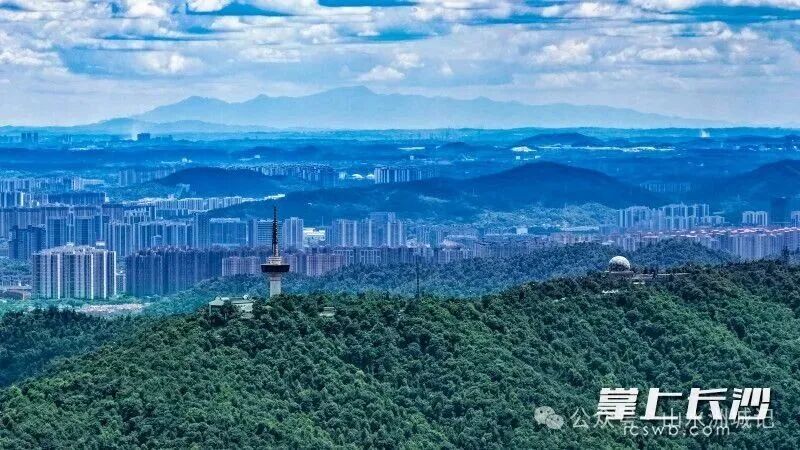 岳麓山遥望南岳衡山祝融峰。均为余劭劼 摄