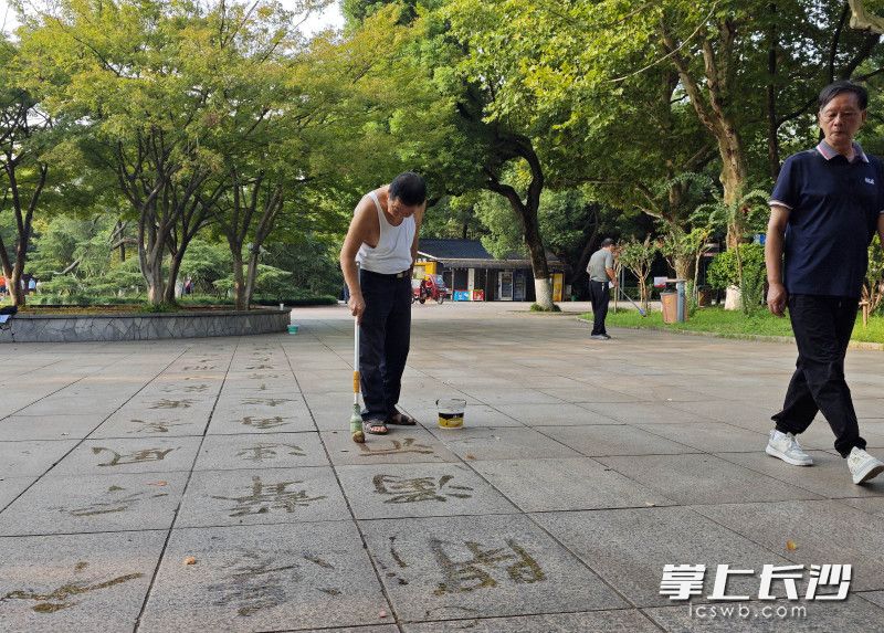 今日清晨，70岁的凌宇安正烈士公园年嘉湖畔广场写地书。均为长沙晚报全媒体记者 贺文兵 摄