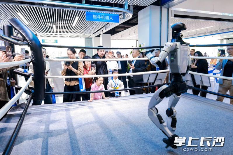 机器人亮相格斗场。 均为长沙晚报通讯员毕登供图