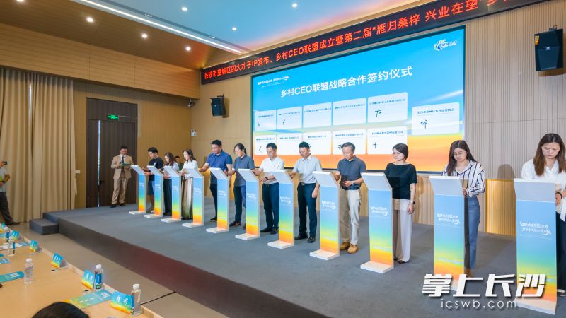 望城乡村CEO联盟战略合作签约。 均为长沙晚报全媒体记者陈飞摄