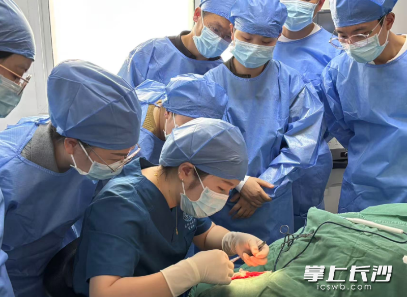 实操实训环节,专家为学员进行美容缝合演示指导。 实操实训环节,专家为学员进行美容缝合演示指导。
