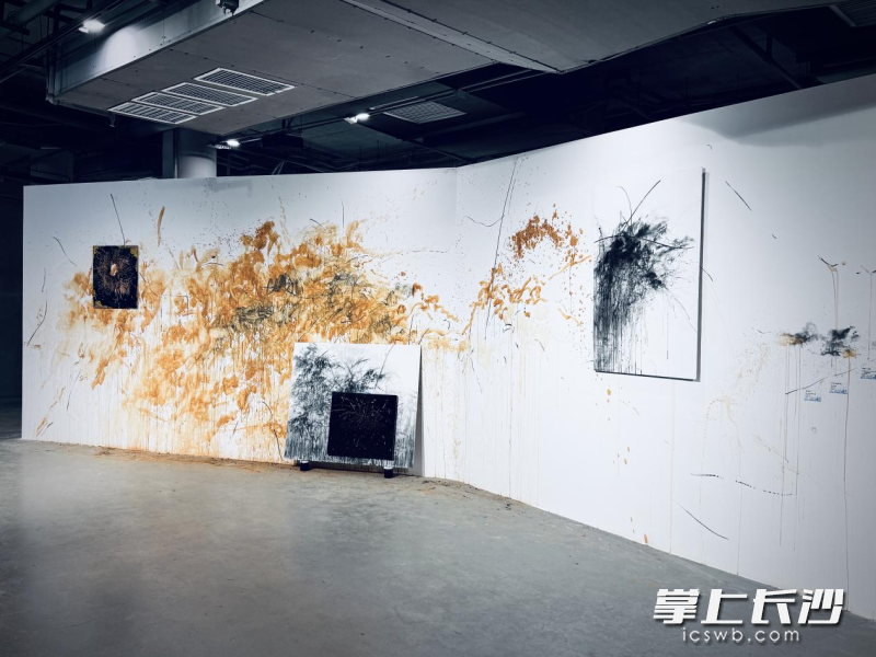 作品《岳麓山-绽放》。除署名外均为受访者供图