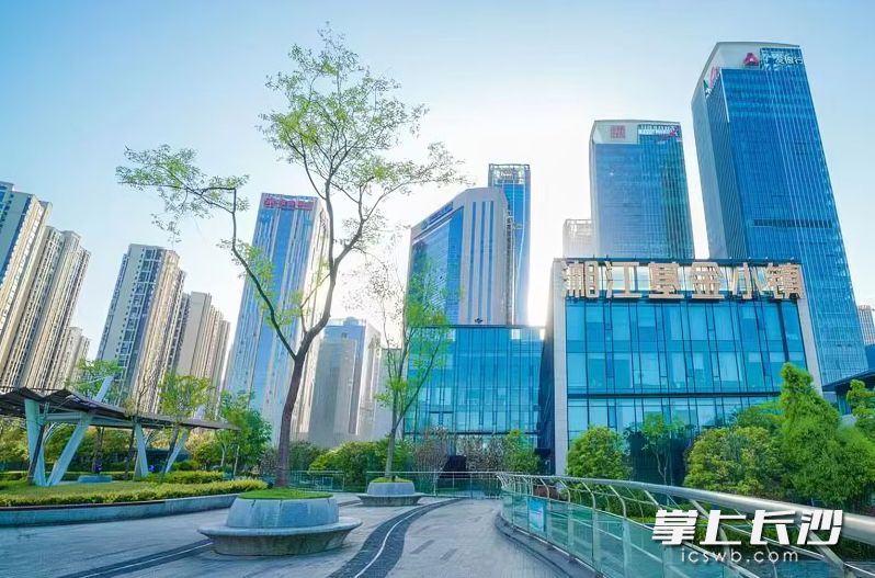 作为全省唯一的省级基金小镇，湘江基金小镇目前已引入基金企业超1000家，管理规模突破4800亿元，稳居全国基金小镇第一梯队。湘江国投 供图